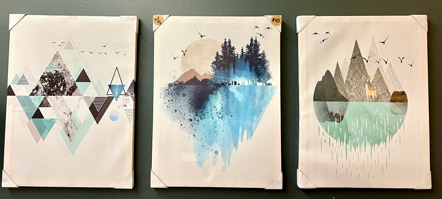3pc Framed Canvas