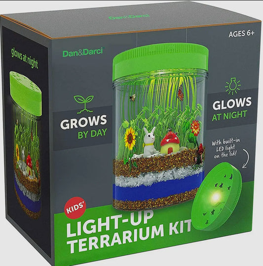 Light-Up Terrarium Kit