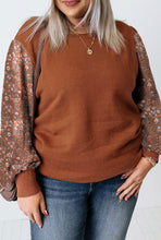Load image into Gallery viewer, Brown Plus Size Printed Splicing Sleeve Ribbed Trim Sweater
